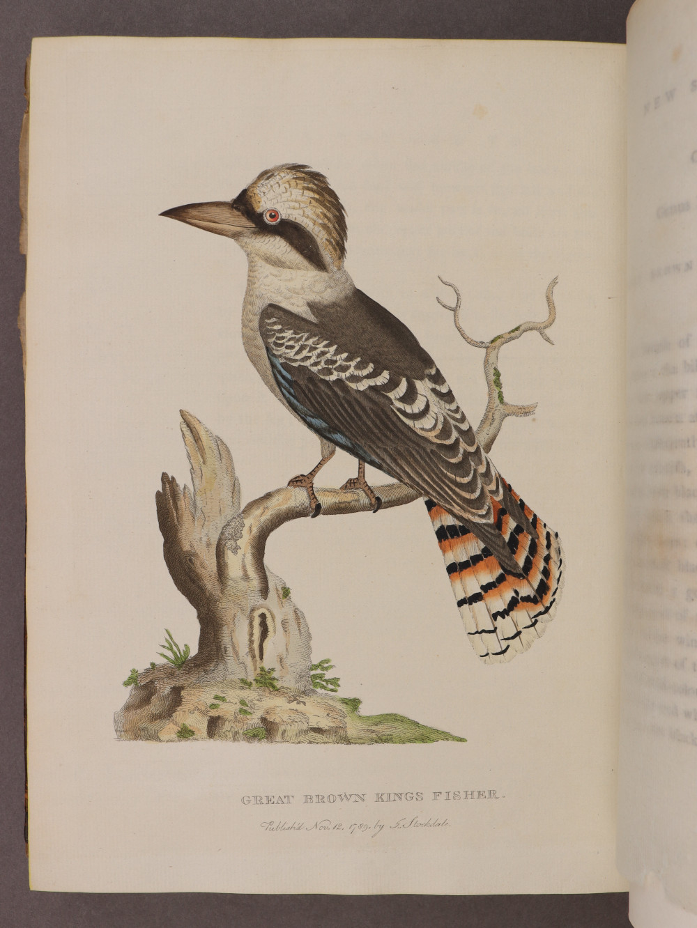 Plate 53